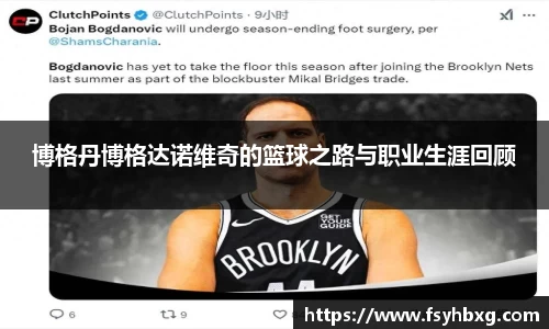 博格丹博格达诺维奇的篮球之路与职业生涯回顾